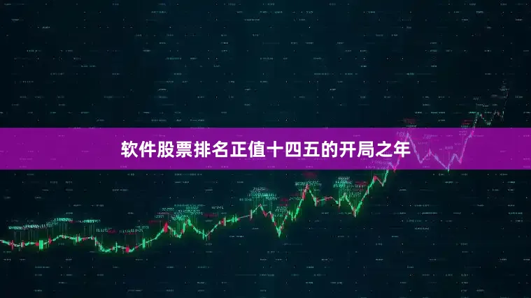 软件股票排名正值十四五的开局之年