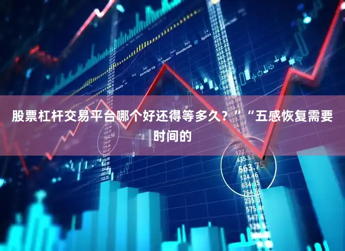 股票杠杆交易平台哪个好还得等多久？”“五感恢复需要时间的